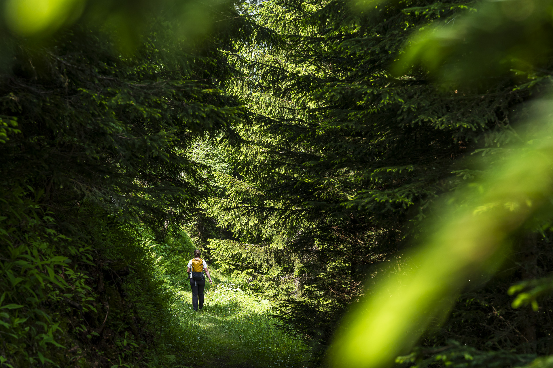 Randonnée de Sedrun à Rueras
