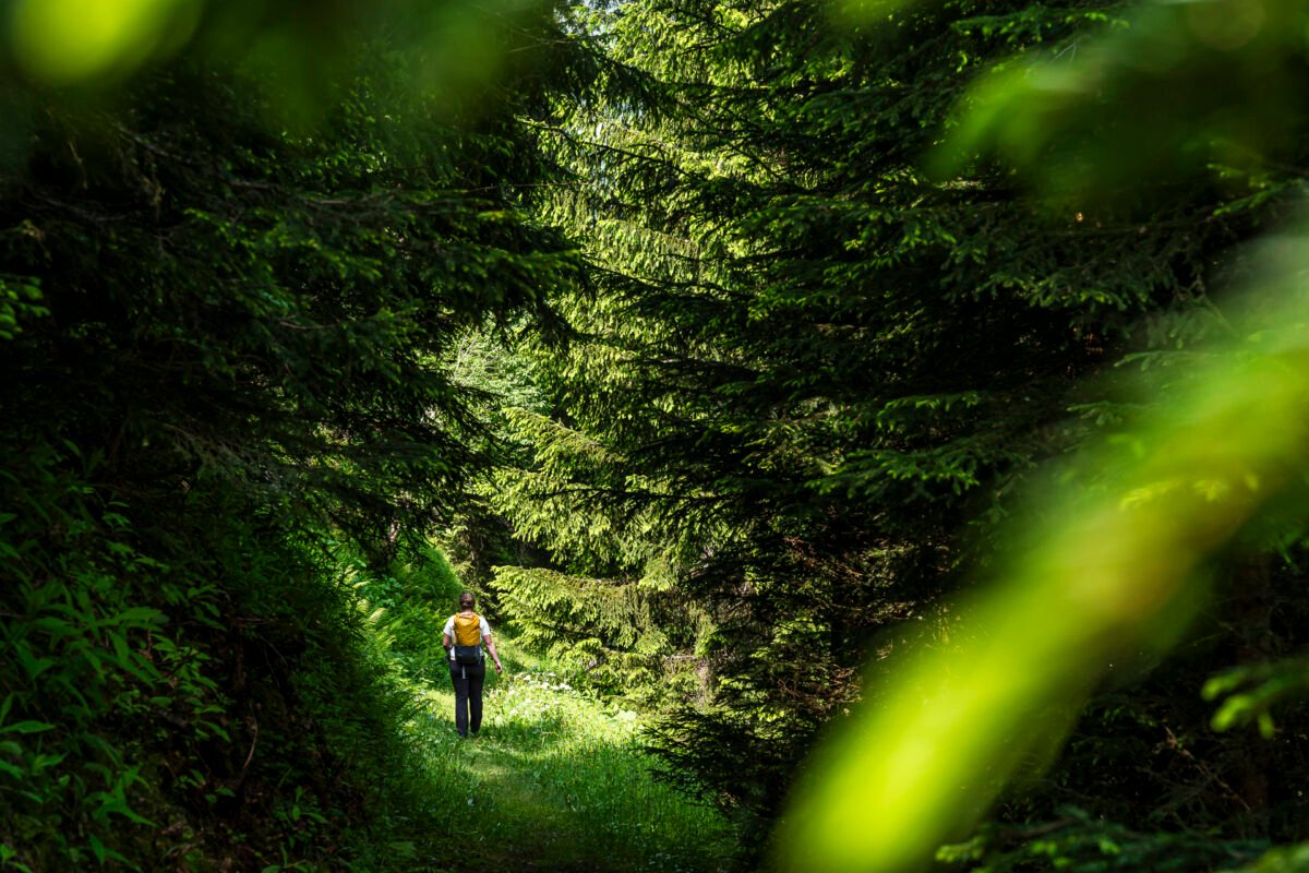 Hike from Sedrun to Rueras