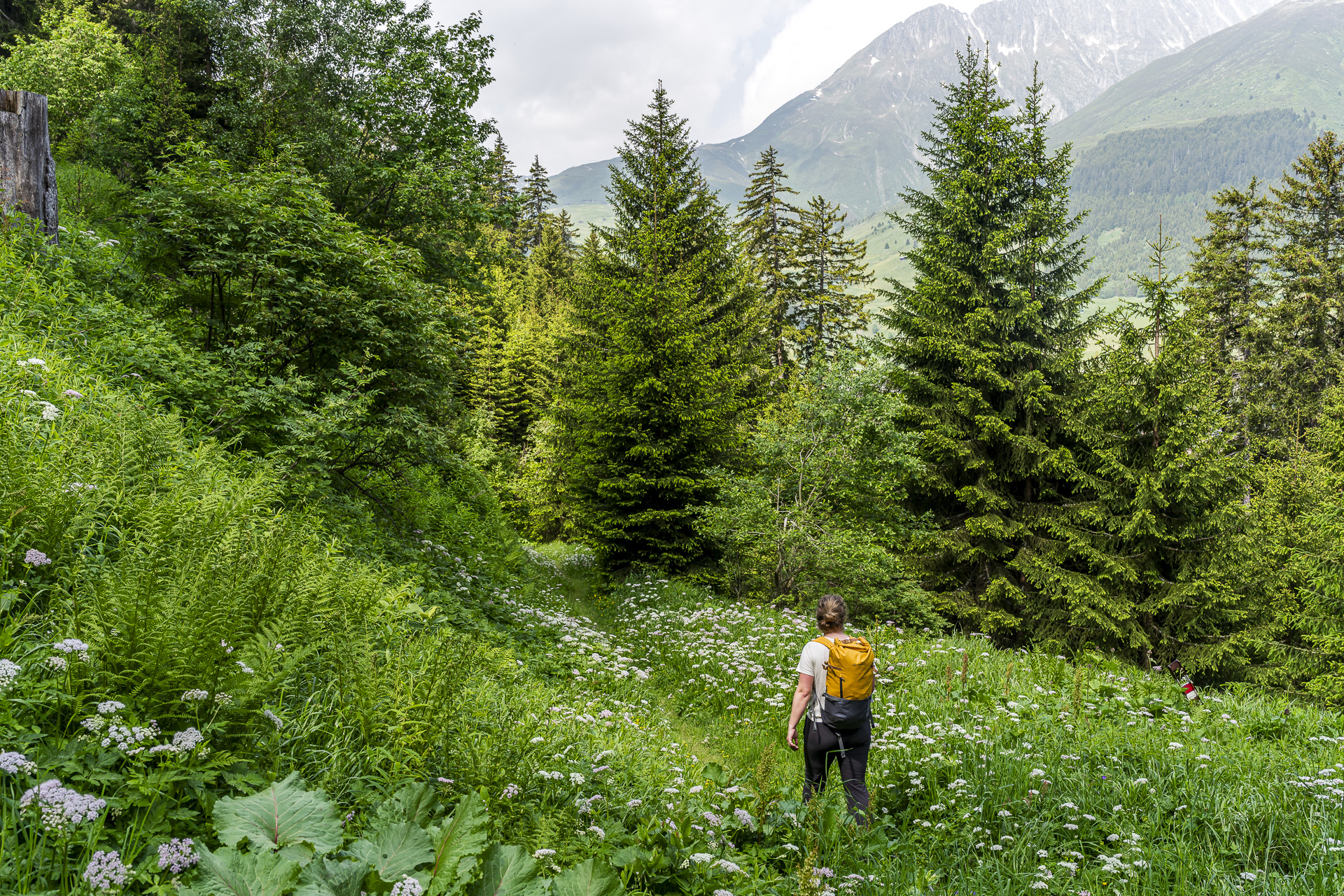 Walserweg Gottardo, Sedrun
