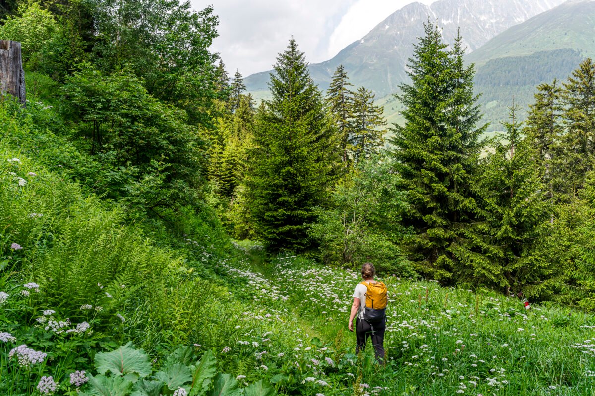 Walserweg Gottardo Sedrun