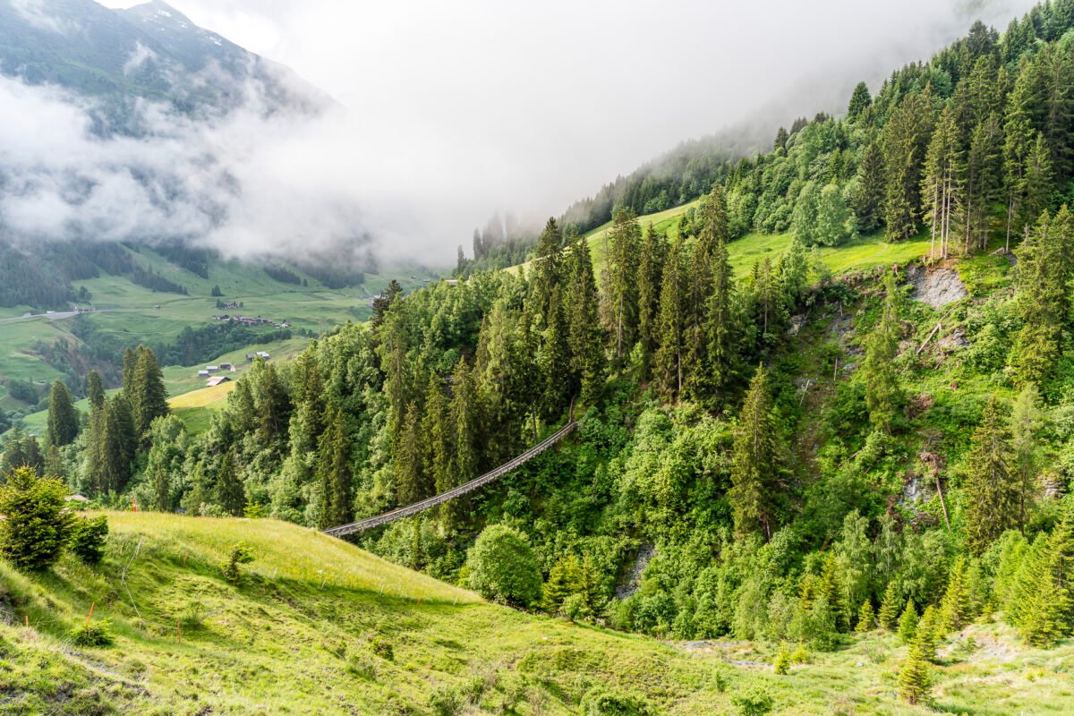 Suspension bridge in Mutschnengia