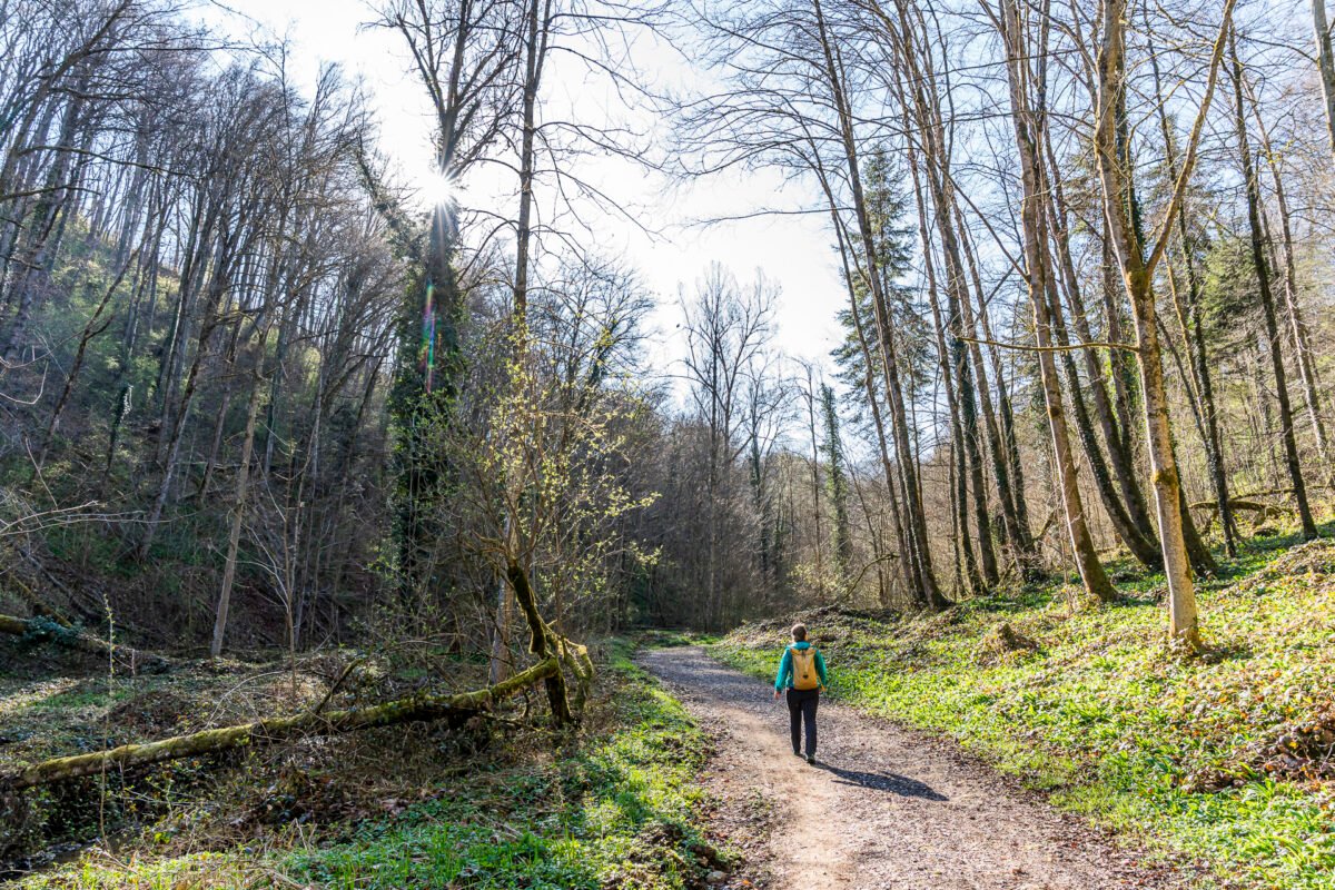 Talweiher Nature Reserve Anwil