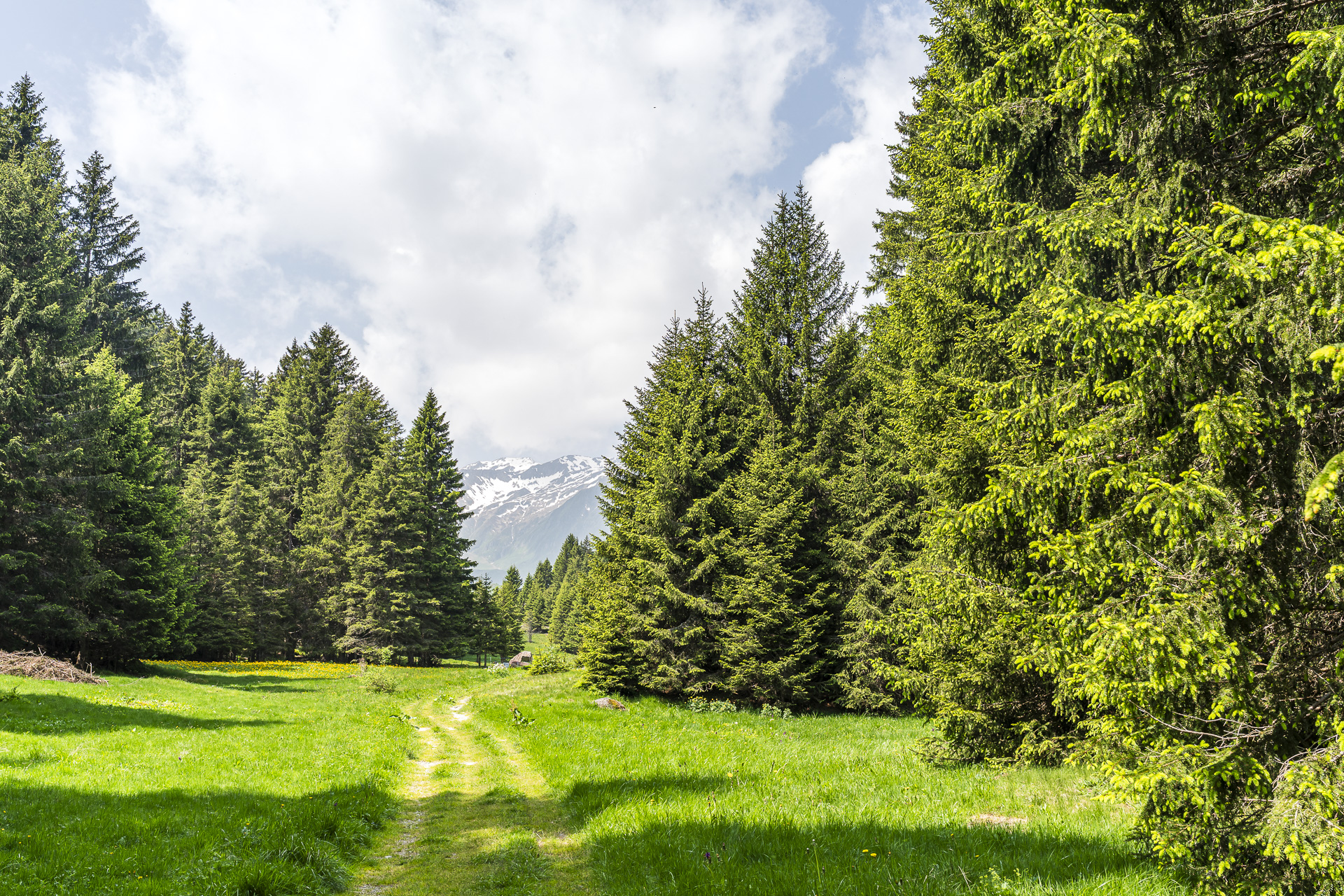 Sentier de randonnée, Surselva