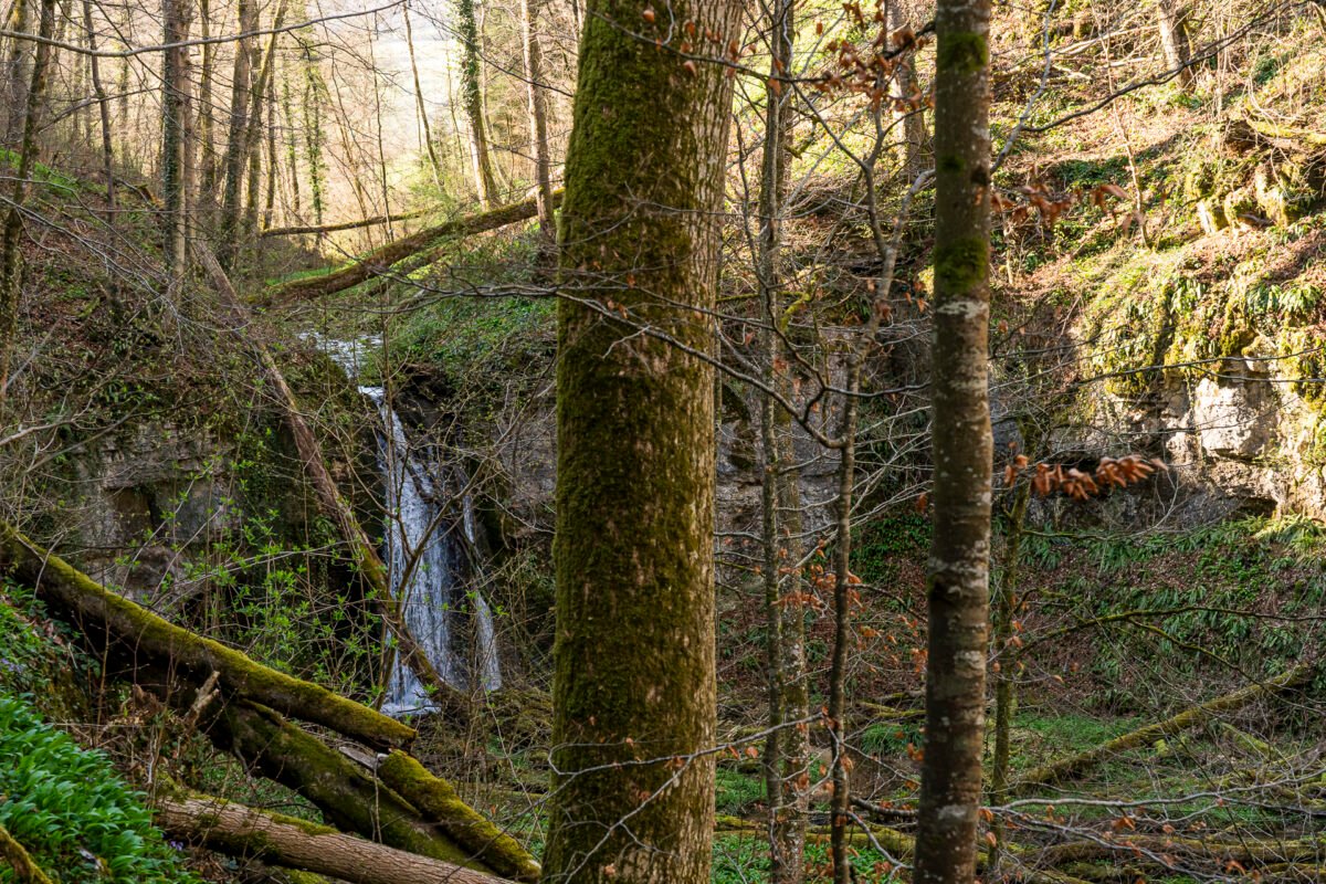 Waterfall in the upper Ergolz