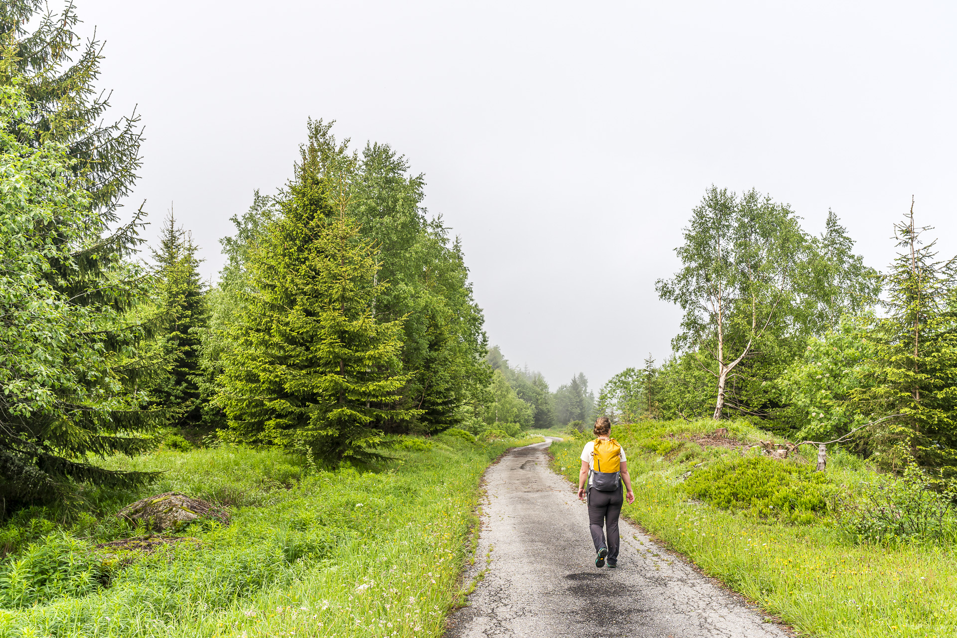 Sentier de randonnée, Walserweg Gottardo