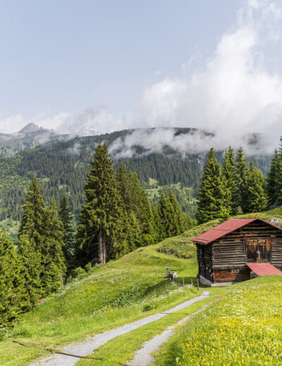 Surselva landscape