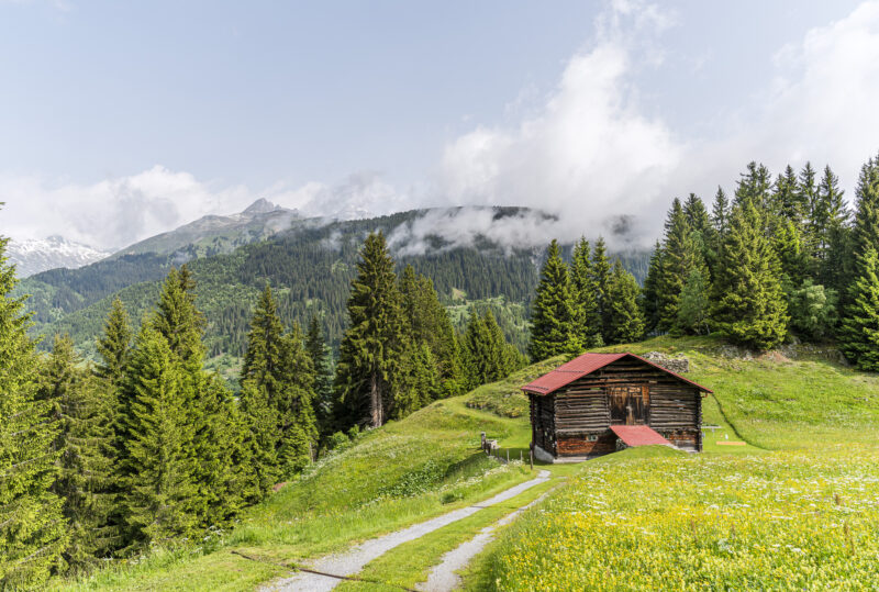 Surselva landscape