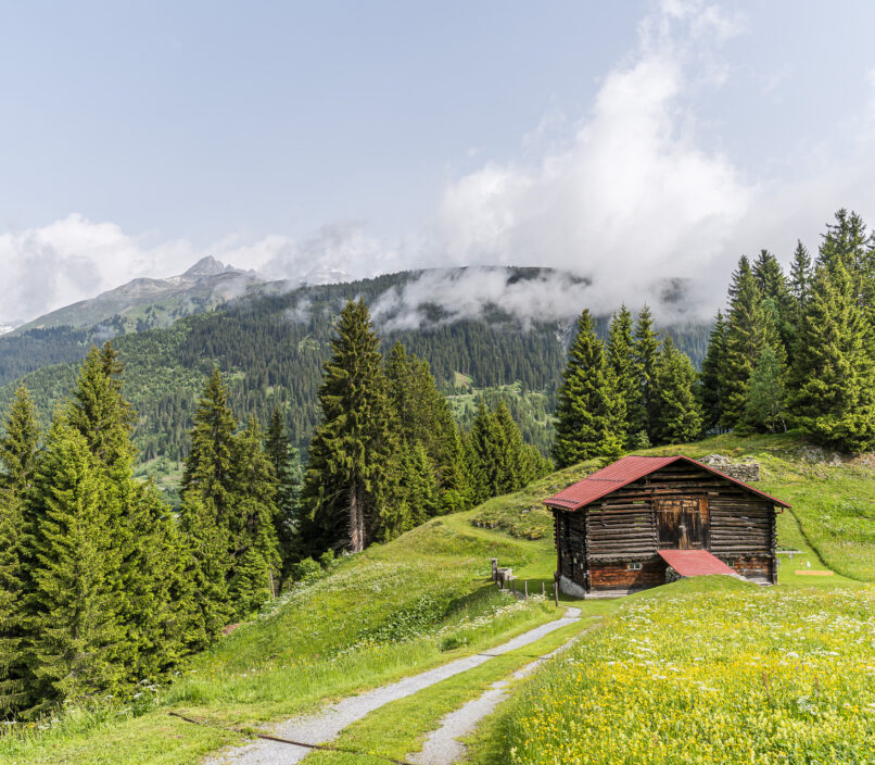 Surselva landscape