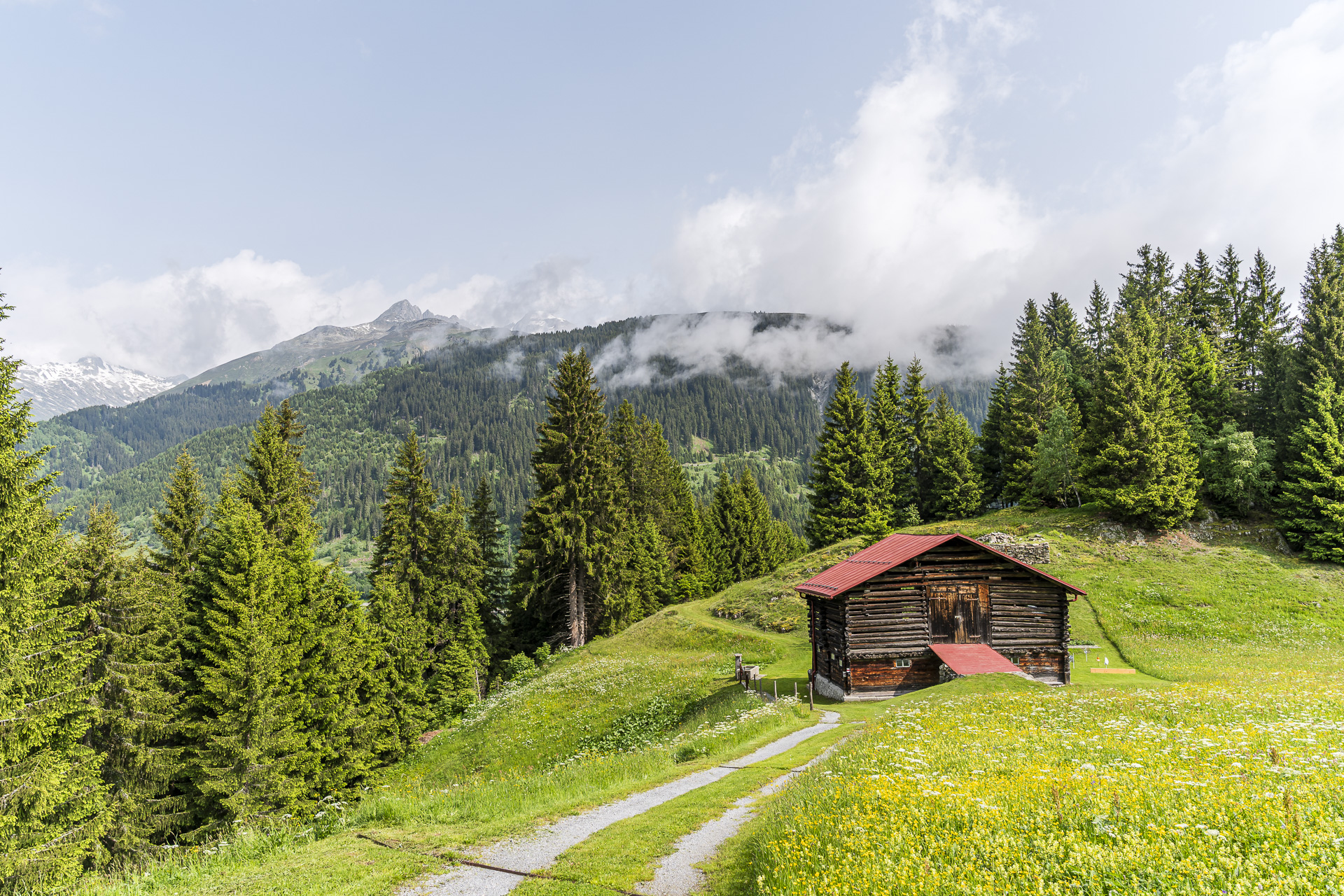 Paysage de la Surselva
