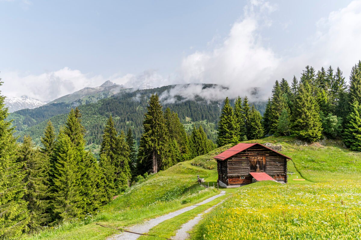 Surselva landscape