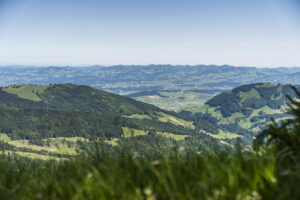 Chli Aubrig Loop Hike: from Euthal via Rosenhöchi to the summit