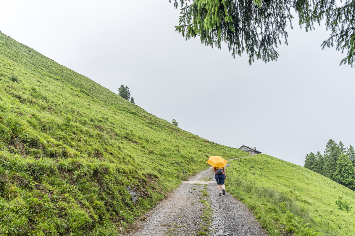 Hiking with an umbrella