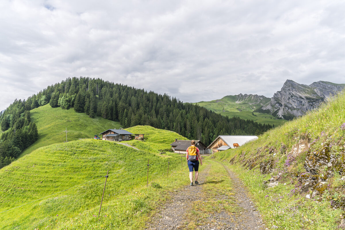 Hiking trail near Feldmoos