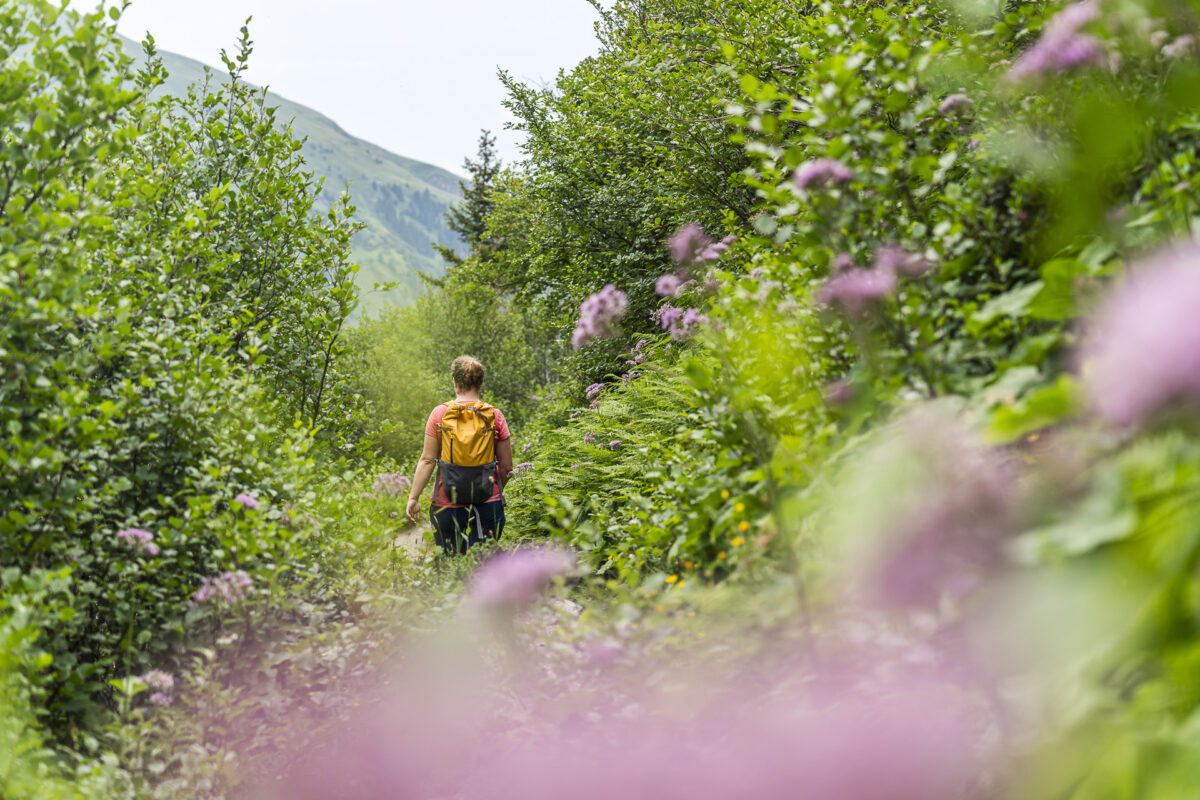 Mountain hiking trail Val Frisal