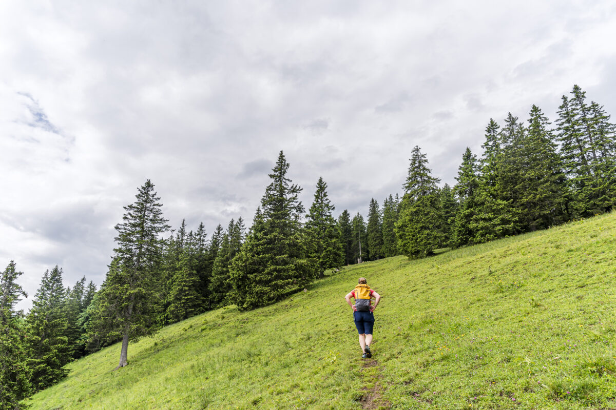 Ascent to Riebensädel