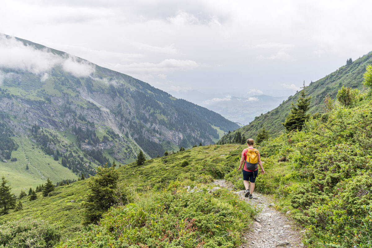 Hiking trail over Alp Nova