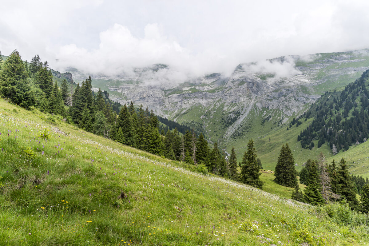 Descent to Brigels