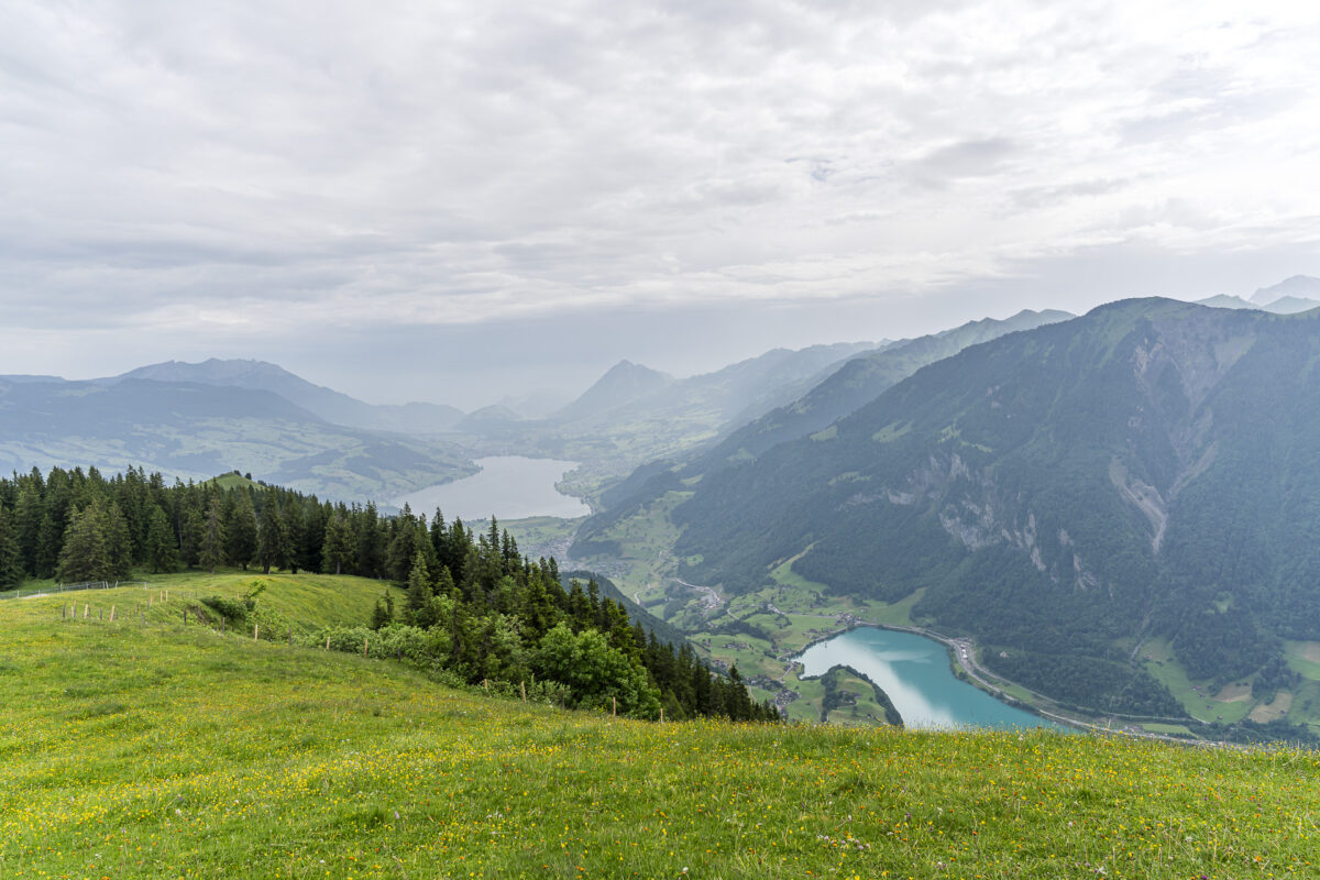 View from Riebensädel