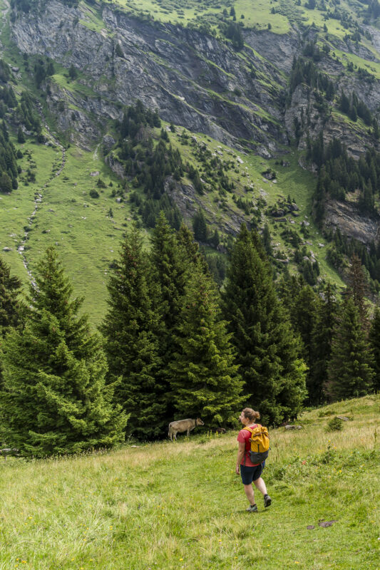 Mountain summer in Brigels