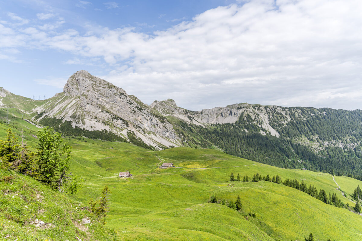 View from Dundelegg