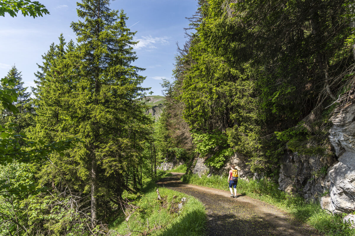 Hiking trail to the Lungern–Turren cable car