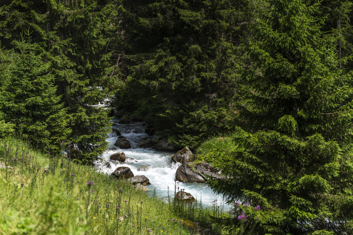 Flem near Brigels