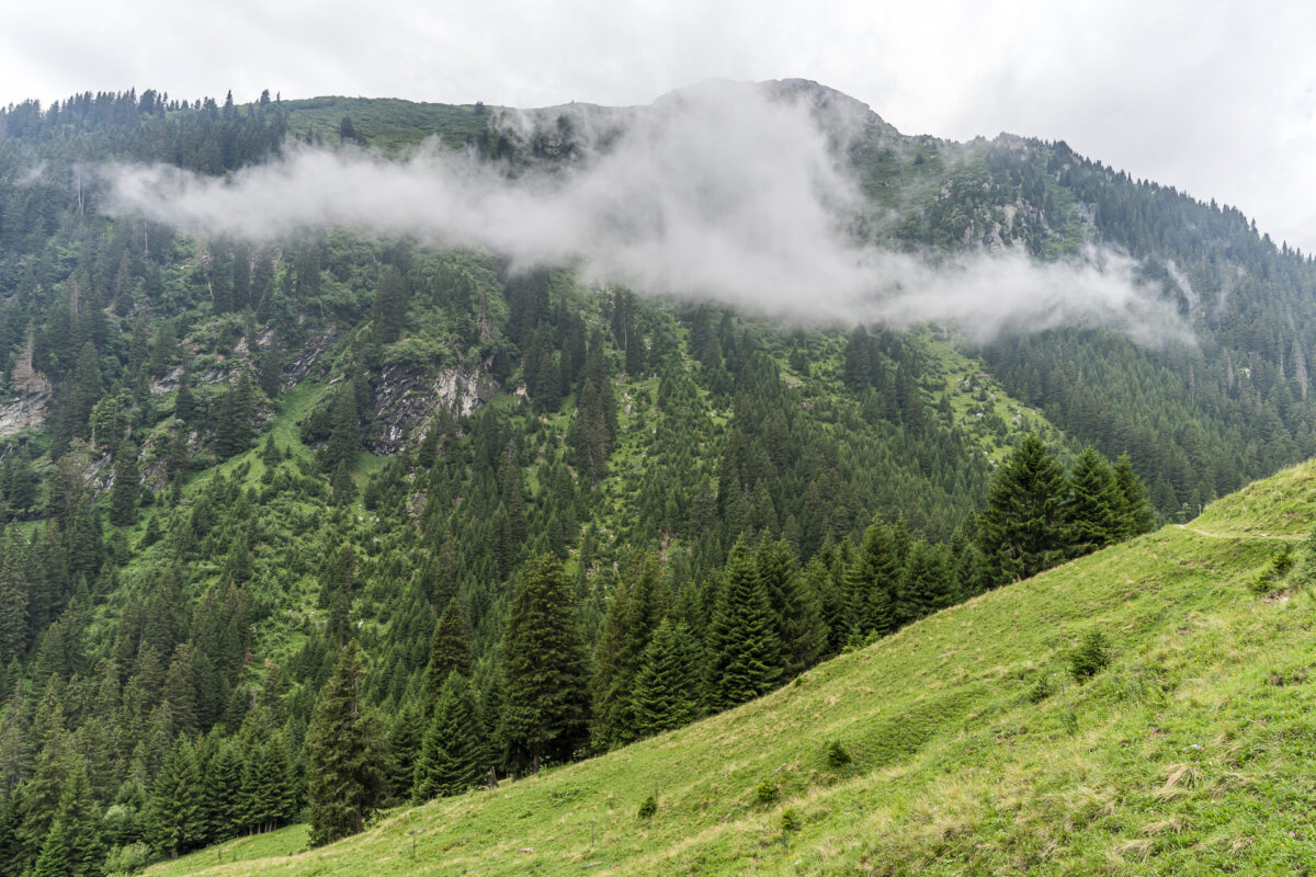 Landscape in Brigels