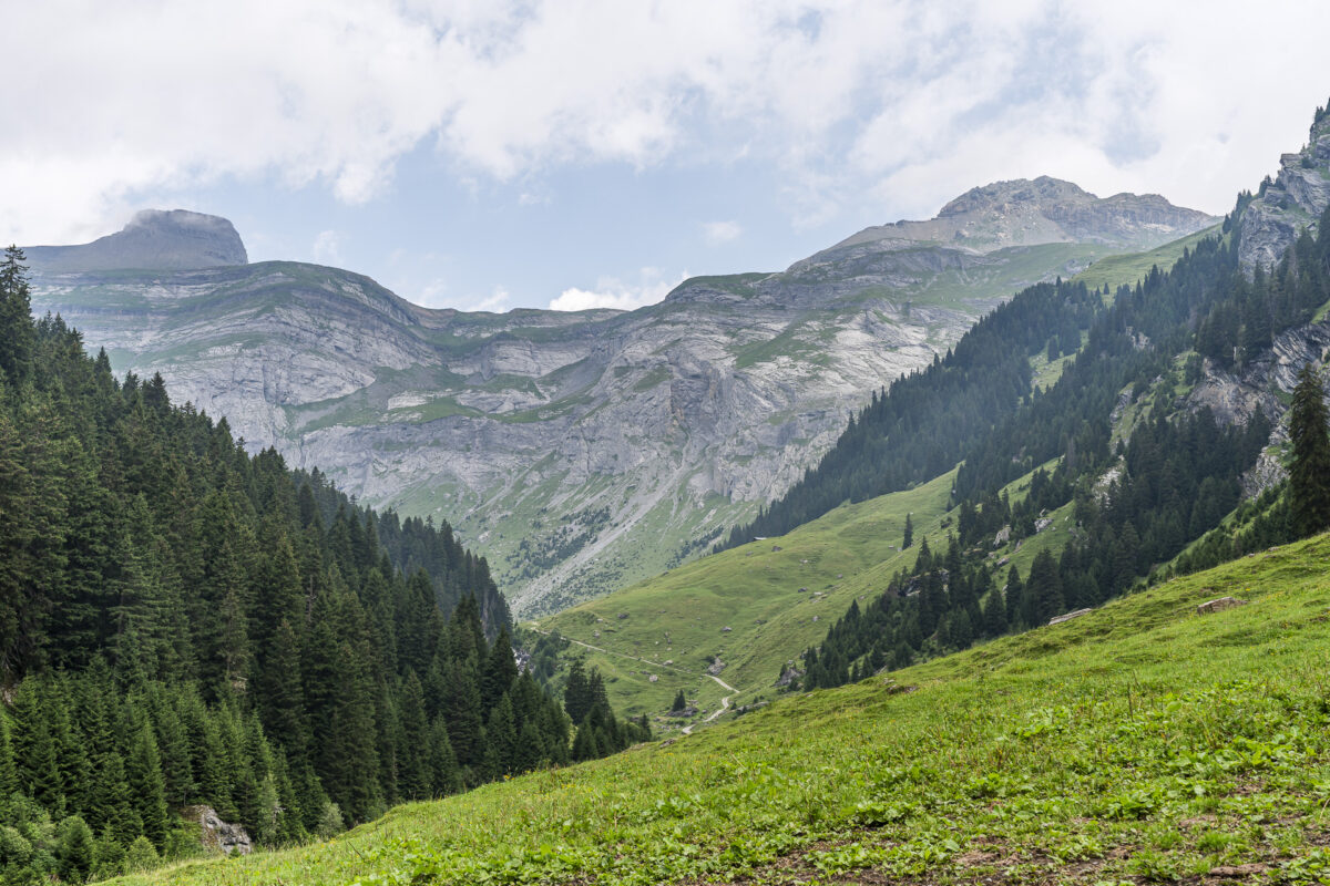 View towards Val Frisal