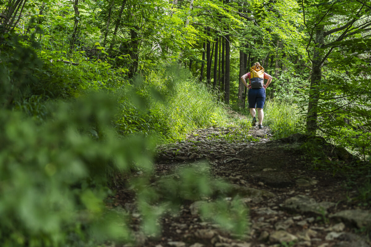 Butterfly Trail ascent
