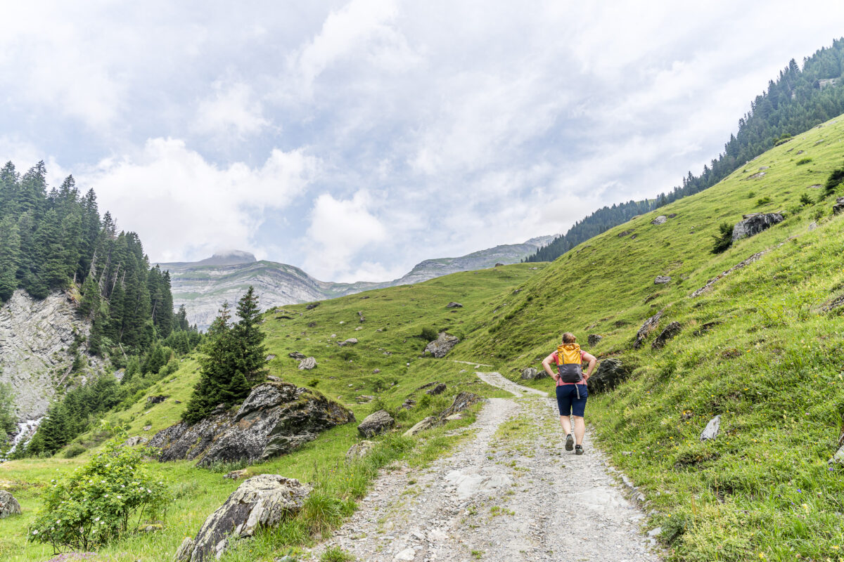 Ascent to the high valley Val Frisal