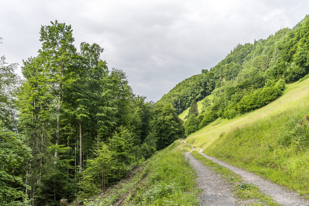 Butterfly Trail hiking path