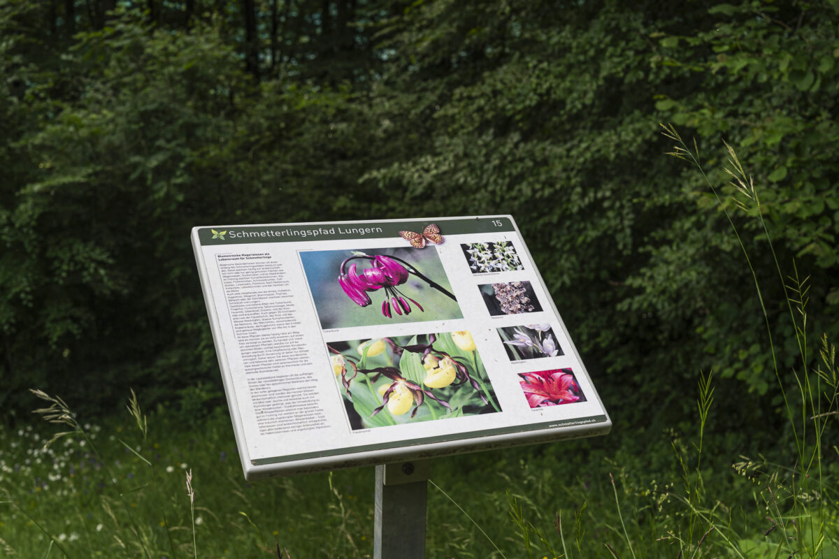 Butterfly Trail information board