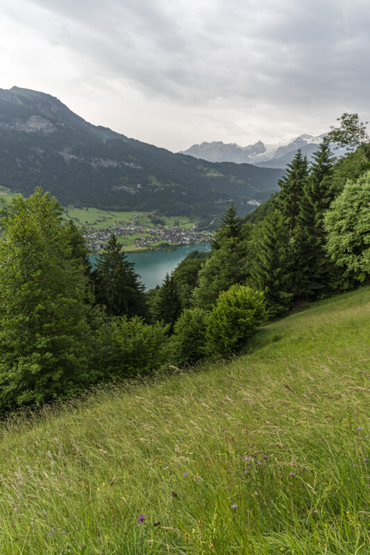 View of Lake Lungern