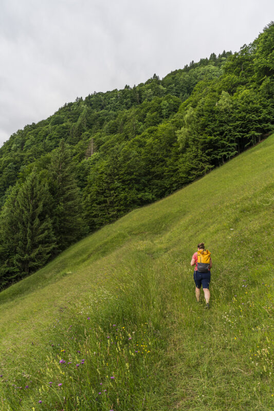 Hiking on the Butterfly Trail