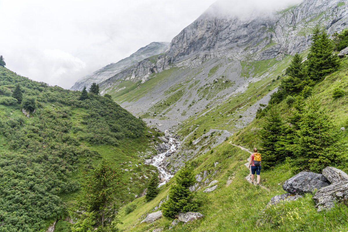 Hiking trail into Val Frisal