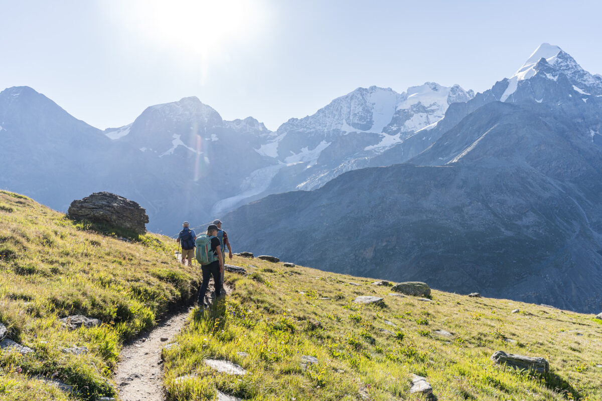 Bernina Trek