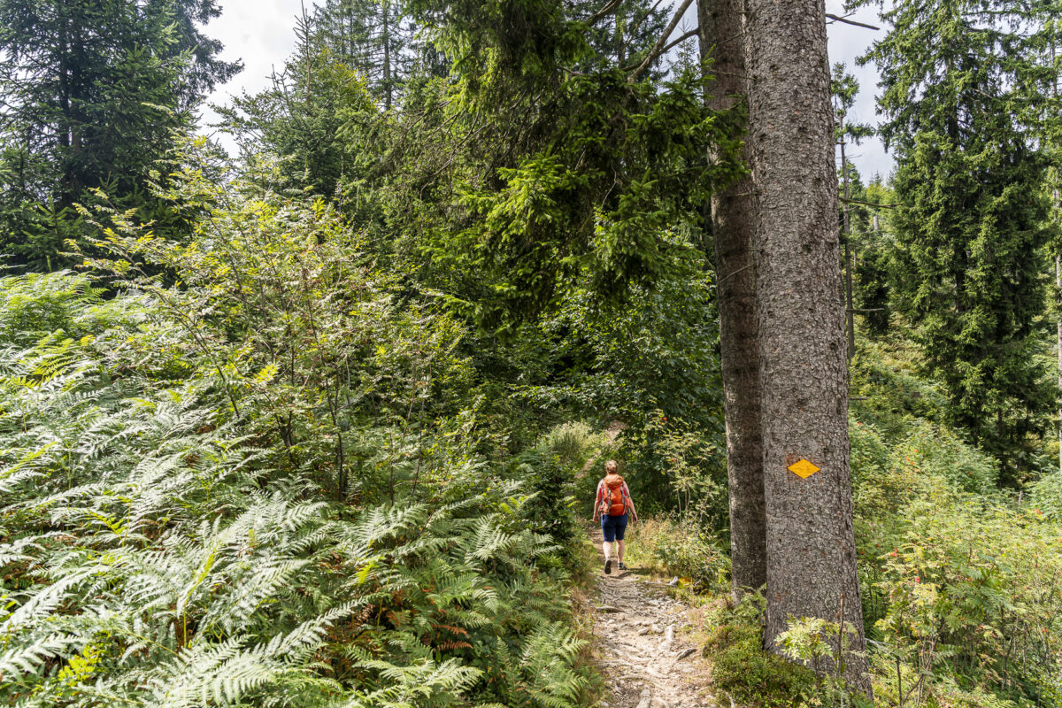 Wandern im Napfgebiet