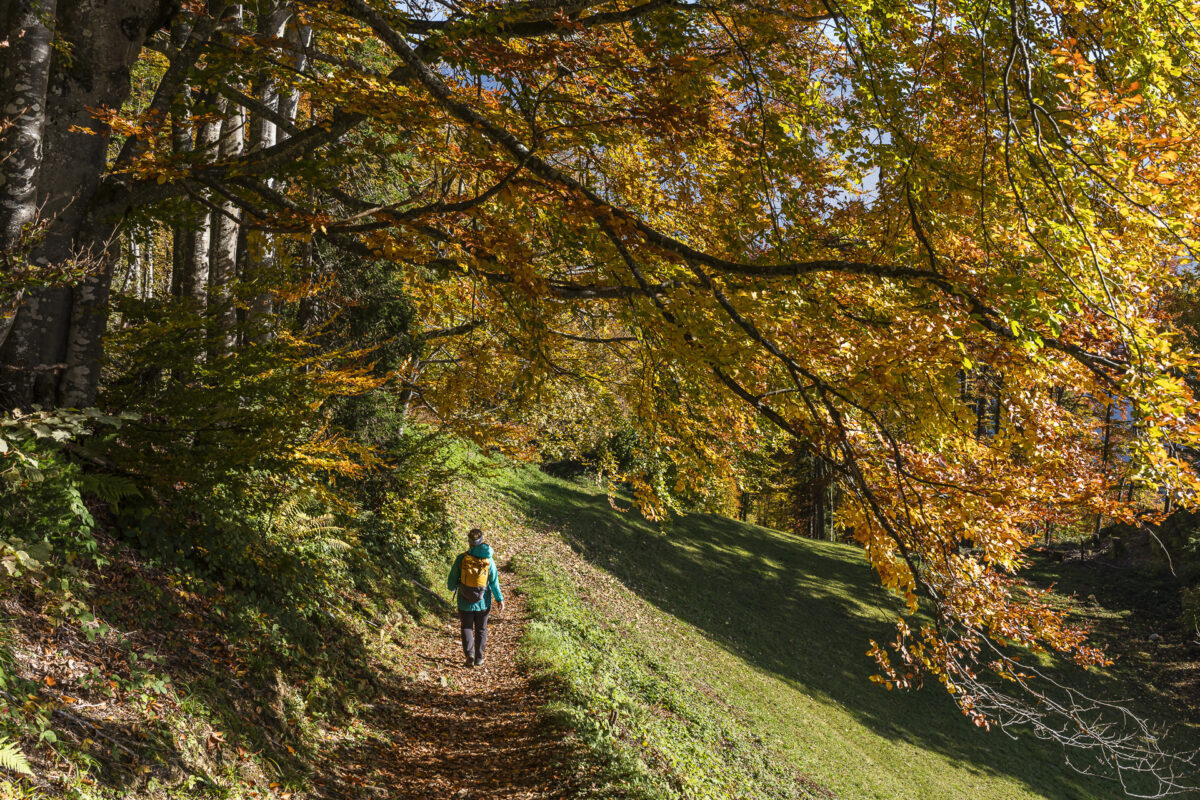 Hiking trail to Nidfurn