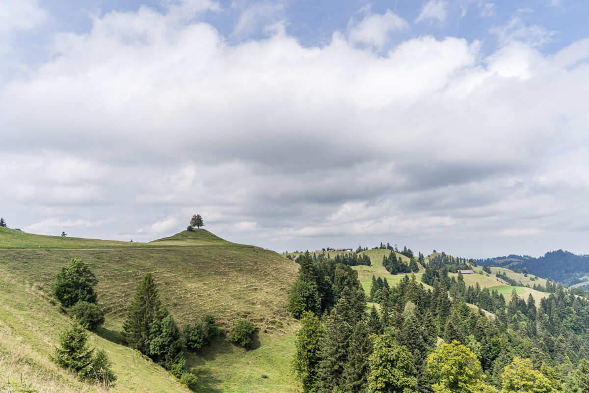Emmentaler Landschaft