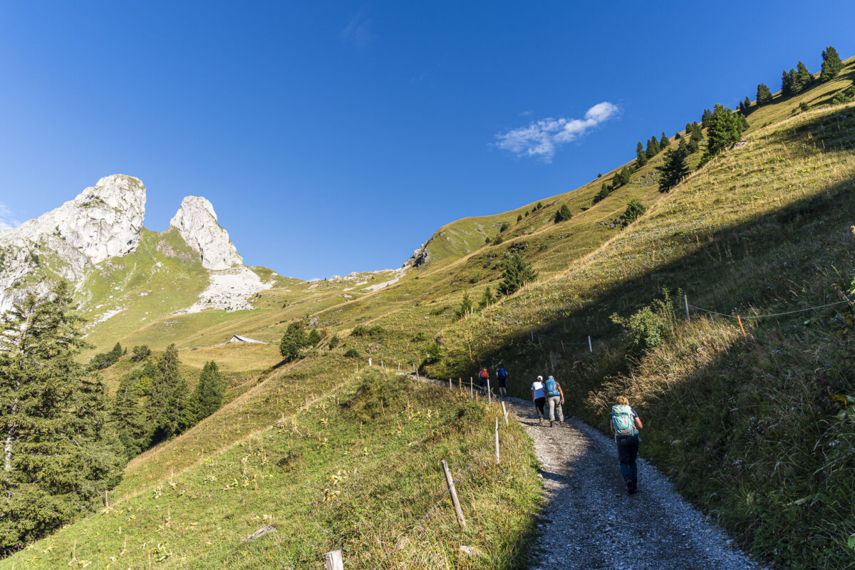 Hiking trail to Grammont
