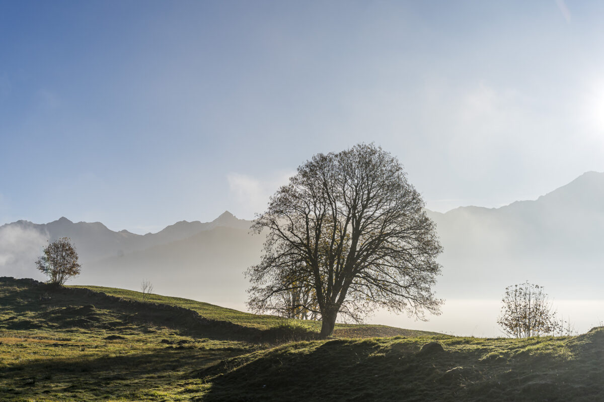 Fall landscape Linthal