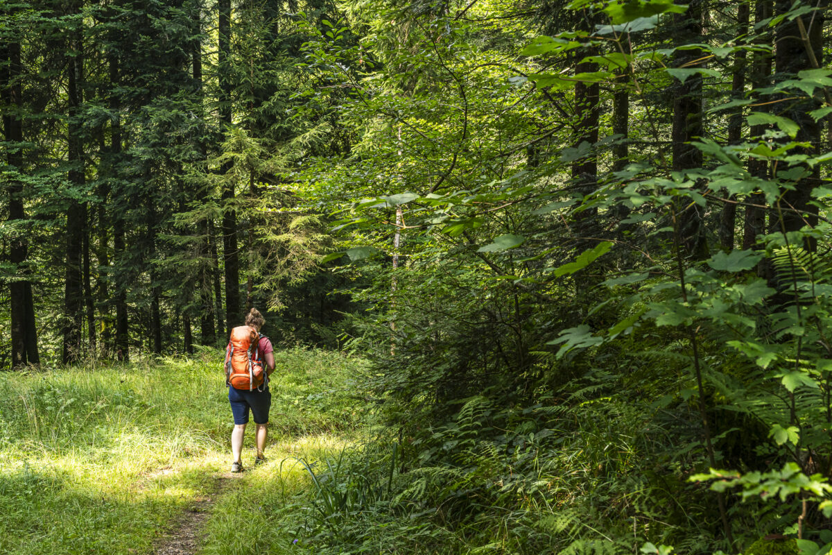 Köhlerweg Napfgebiet