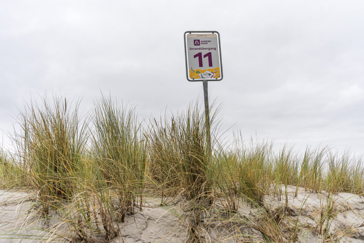 Ahrenshoop Strandsignale