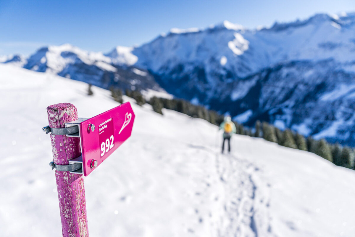 Signalisierter Schneeschuhtrail bei Elm