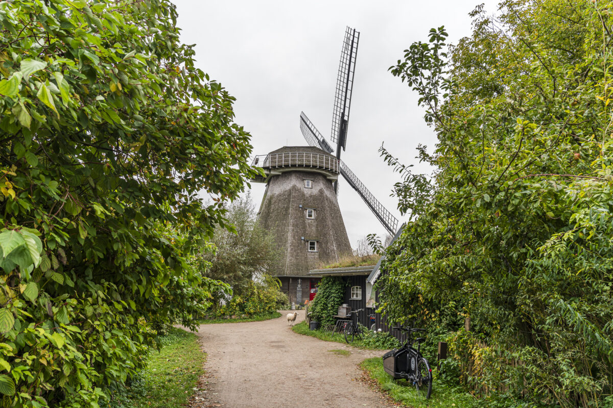 Alte Mühle Ahrenshoop