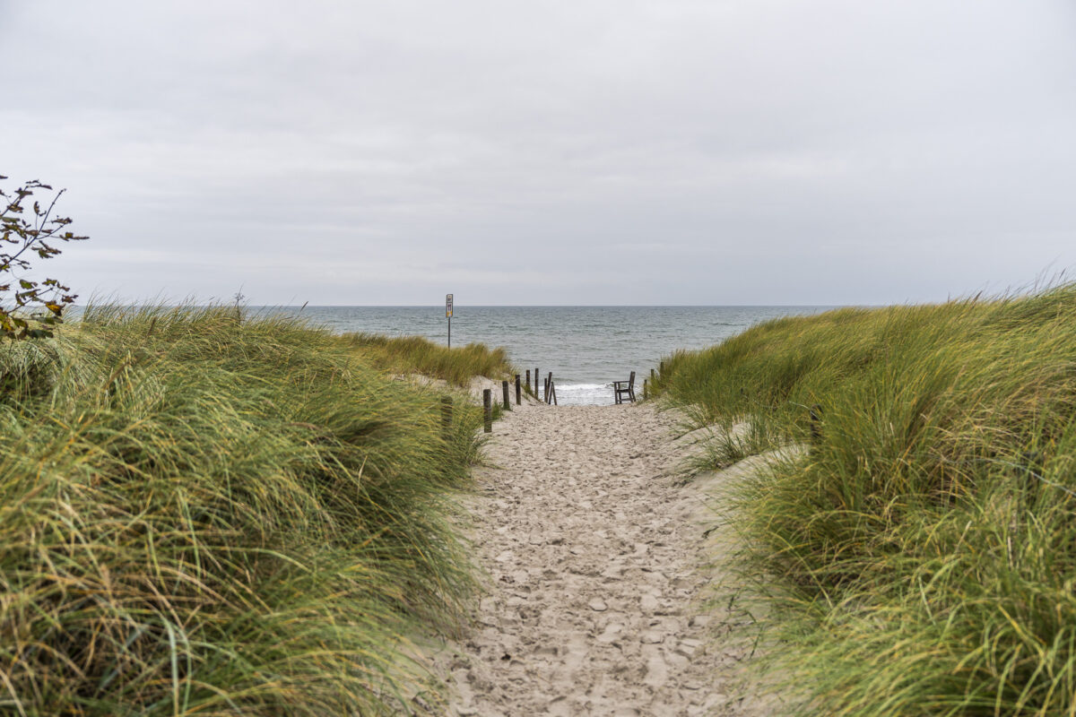 Ahrenshoop Strand