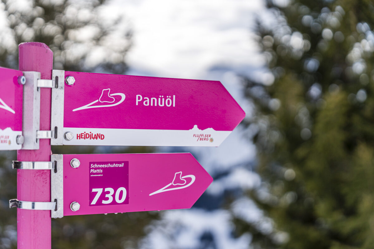 Plattis snowshoe trail