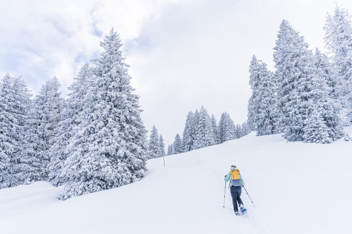 Snowshoe tour on Alp Sellamatt