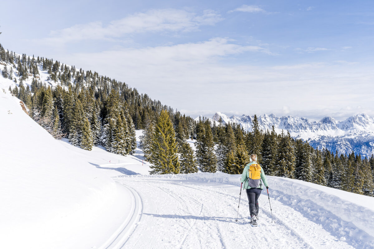 Prodalp–Panüöl trail