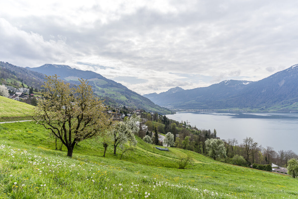 Trilha para Walchwil